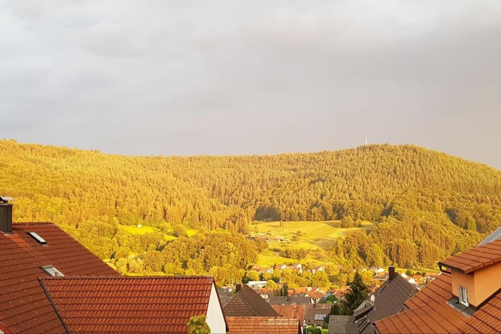 Ferienwohnung Talblick Im Schwarzwald زيلباخ المظهر الخارجي الصورة