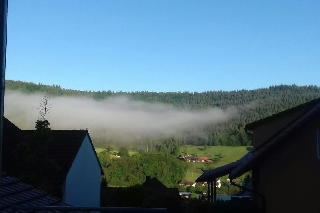 Ferienwohnung Talblick Im Schwarzwald زيلباخ المظهر الخارجي الصورة