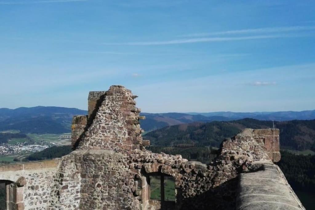 Ferienwohnung Talblick Im Schwarzwald زيلباخ المظهر الخارجي الصورة
