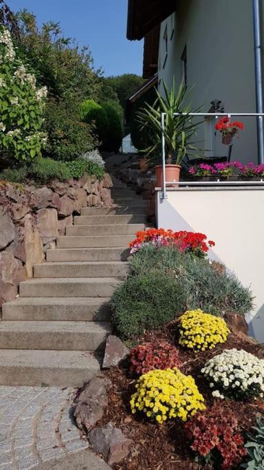 Ferienwohnung Talblick Im Schwarzwald زيلباخ المظهر الخارجي الصورة