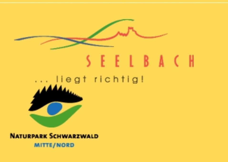 Ferienwohnung Talblick Im Schwarzwald زيلباخ المظهر الخارجي الصورة