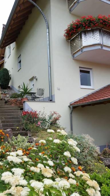 Ferienwohnung Talblick Im Schwarzwald زيلباخ المظهر الخارجي الصورة