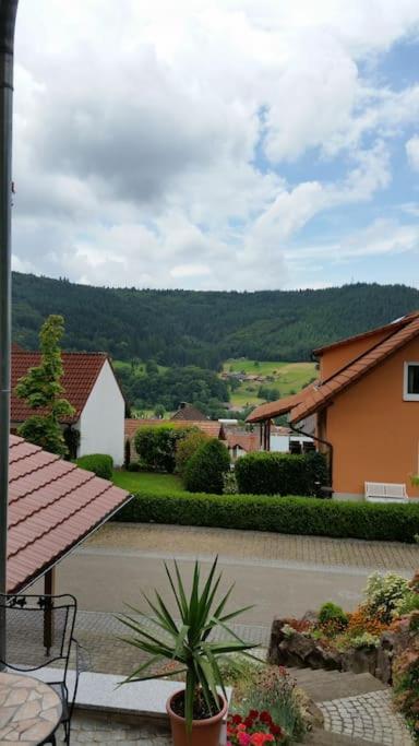 Ferienwohnung Talblick Im Schwarzwald زيلباخ المظهر الخارجي الصورة