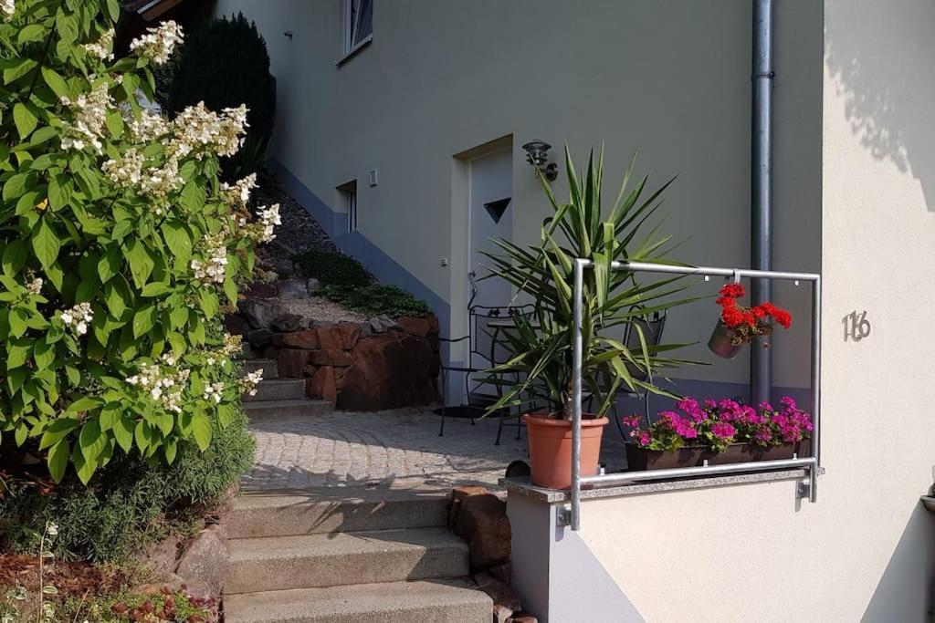 Ferienwohnung Talblick Im Schwarzwald زيلباخ المظهر الخارجي الصورة